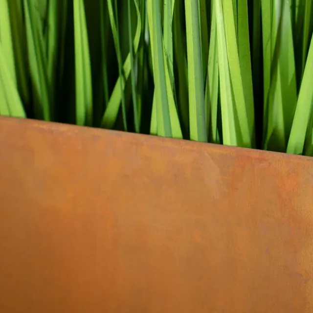 Lauko tvorų funkcija.